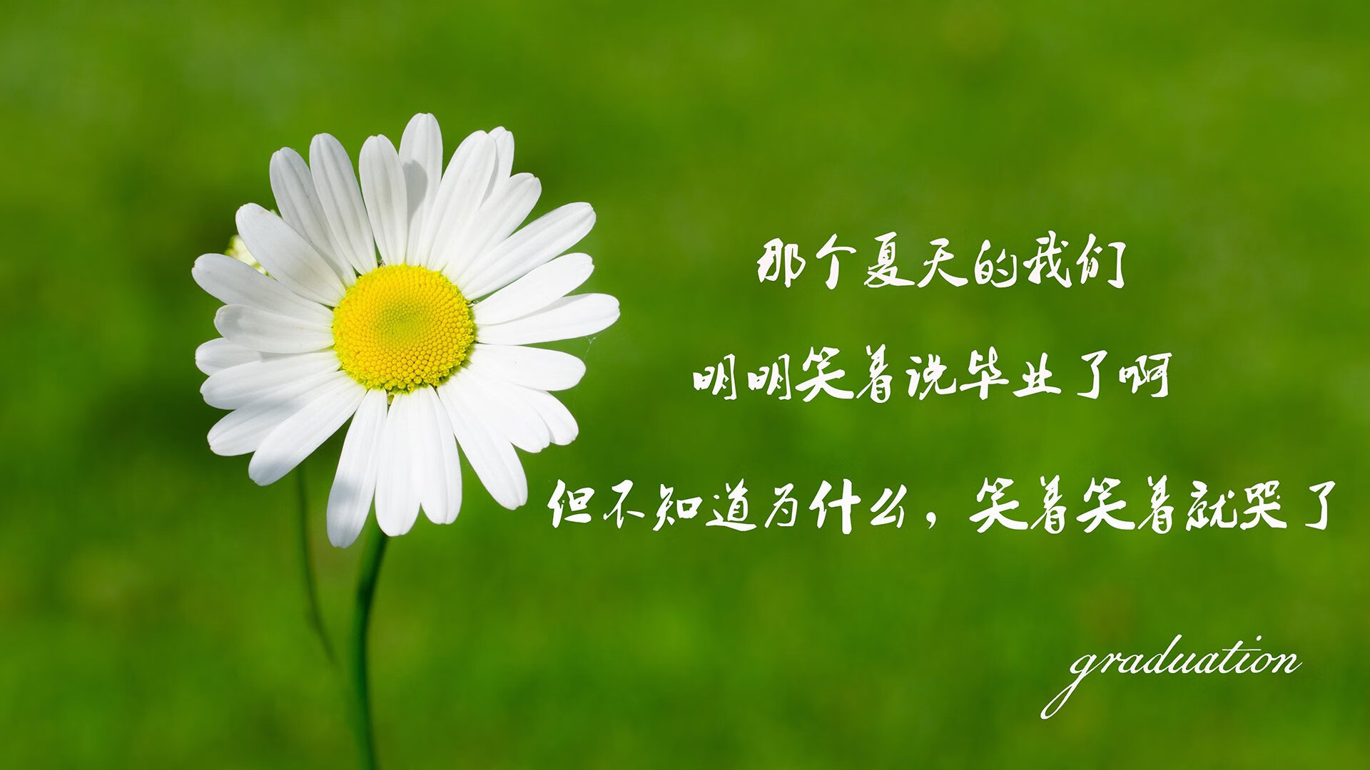 im体育平台官网-巴西男足主帅：未能晋级是“巨大的失望”，巴西 男足