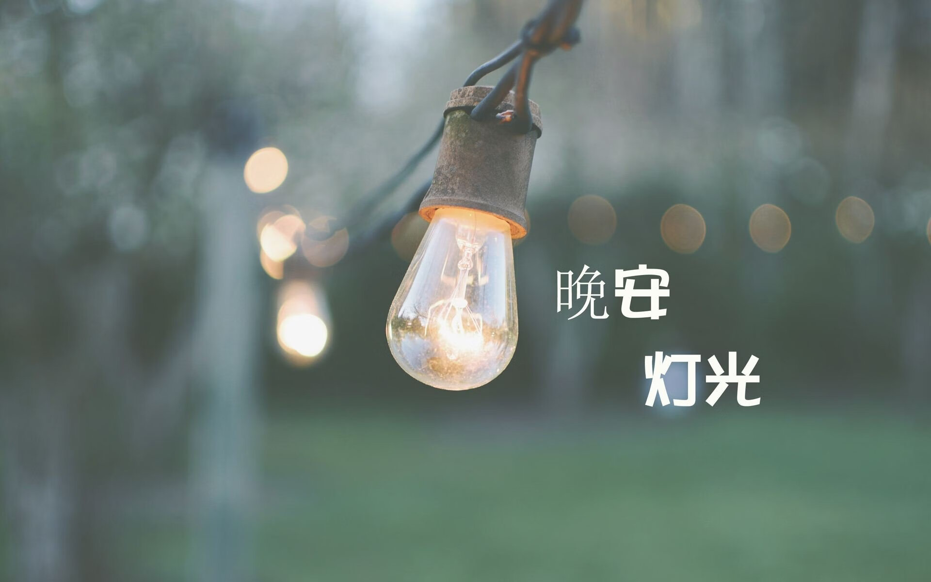 埃弗顿中场调度稳定，古迪逊公园冲击保级，埃弗顿迪涅