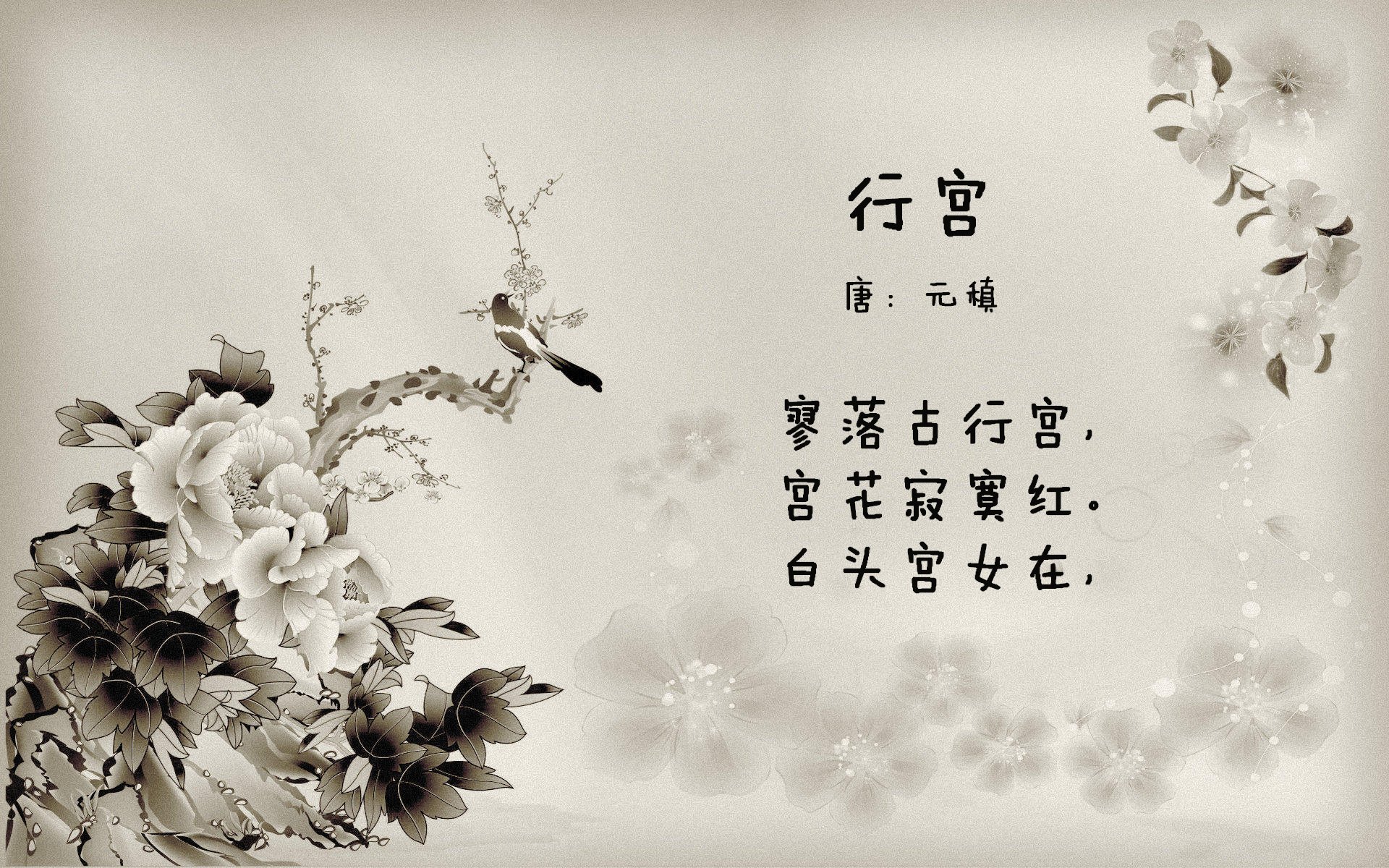 tiyu-imAPP下载-女足世界杯球队阵容深度分析，女足世界杯名次