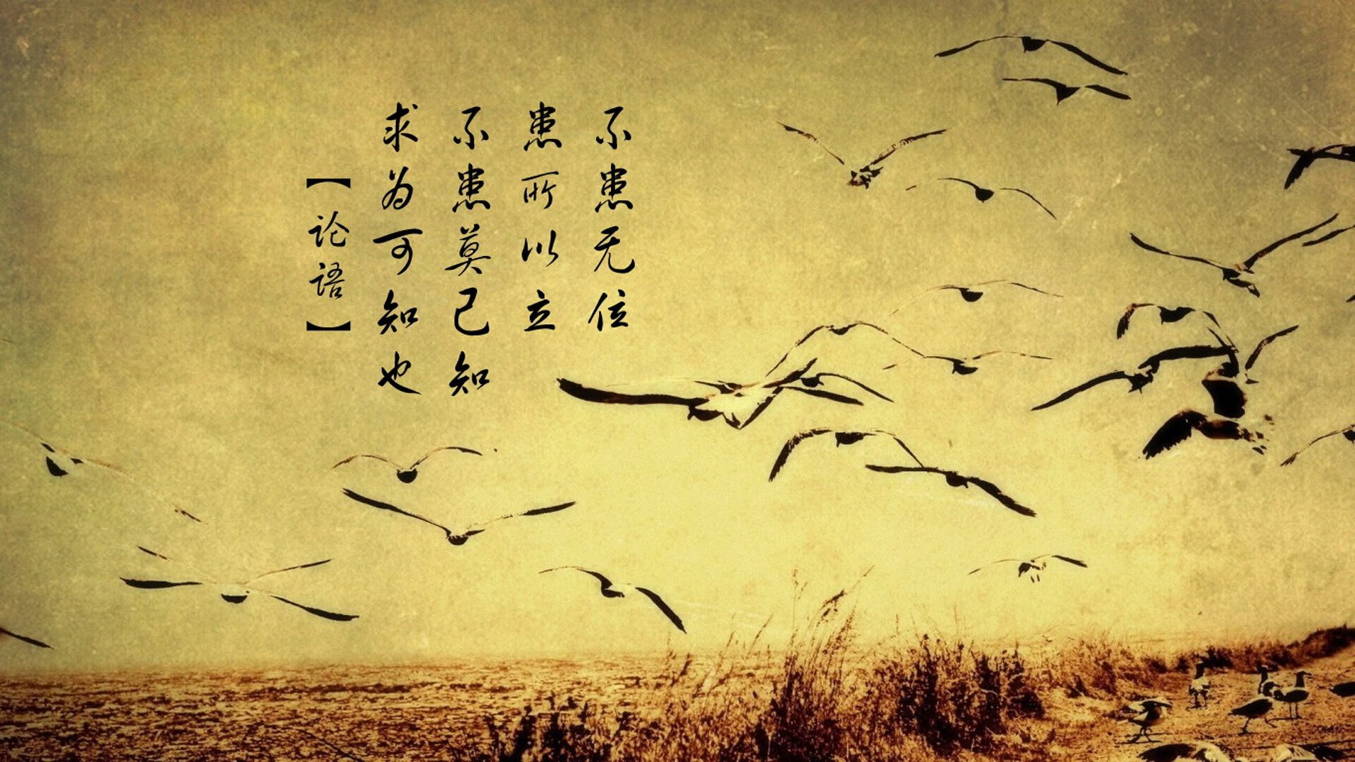 tiyu-im官方网站-进攻时间控制最合理的球队策略，进攻时间篮球