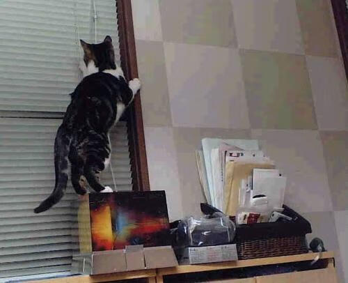 im体育官方平台-防守体系紧密，区域控制效果明显，进行防守